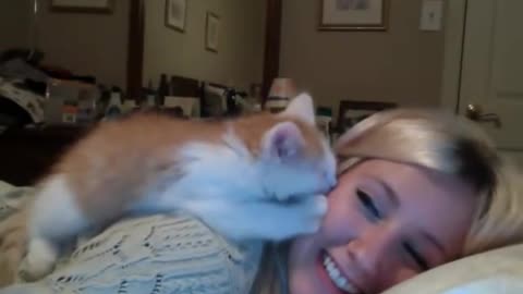 Kitten giving kisses