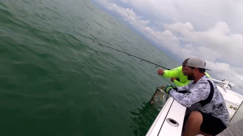 Tarpon Fishing using artificial