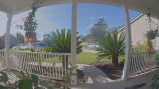 Alligator Wanders onto Woman's Front Porch