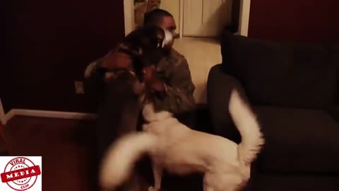 Dogs Welcoming Soldiers Home Compilation Part_9
