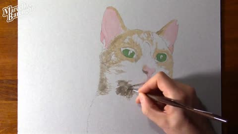 Draw A Rough Outline Of The Cat