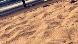 Guy narrates two guys in wetsuits warming up on beach before surfing