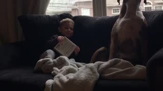 Boxer and Little Boy Have in Depth Conversation