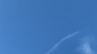 Hundreds of Canadian Geese flying