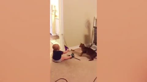 Satisfying Moments for Babies and Cats, Babies Getting Ready with Kittens