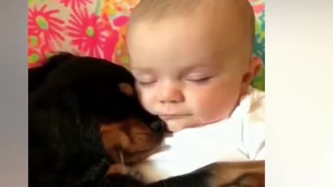 AWWW!! Cute Babyand Dog Video 😍