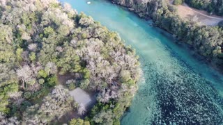 Manatees Playing | Silver Glenn Springs | Ocala National Forest Florida | DJI Mavic 2 Zoom Drone