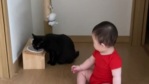 A baby who eats a cat is strange