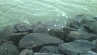 Filming the sea water hitting the rocks at dusk, very relaxing! [Nature & Animals]