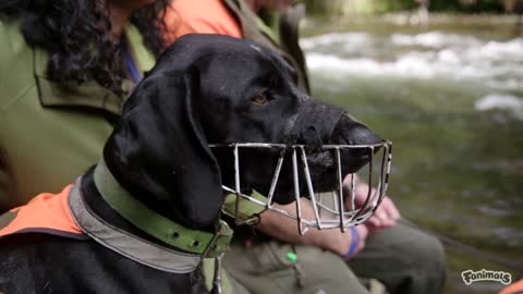 Paws on Patrol — Andy, Beau and Max-2021#Manusaiyed