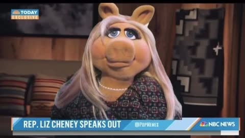 Liz Miss Piggy