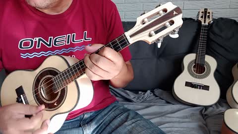 Cavaquinho Constantino Luthier (Faya)