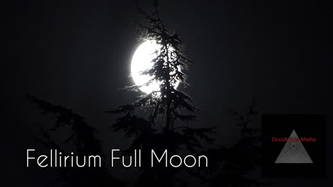 Fellirium Full Moon