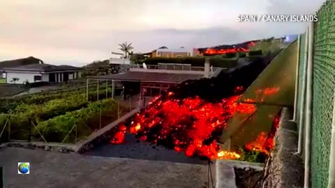 Rivers of lava flow across the island: The volcanic eruption in Spain continues