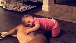 Baby Girl Preciously Cuddles Boxer Best Friend