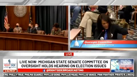 Michigan State Senate Committee Hearing - Patriot delivers her account of election fraud in Michigan