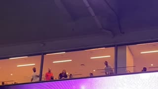 Cat Falls From Stadium's Upper Floor