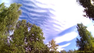 Cirrocumulus clouds