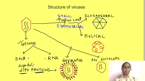 coronavirus with classification of viruses