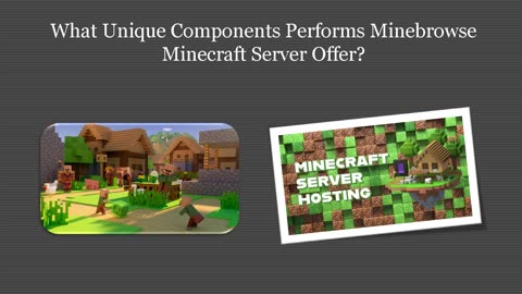 What Unique Features Carries Out Minebrowse Minecraft Server Promotion?