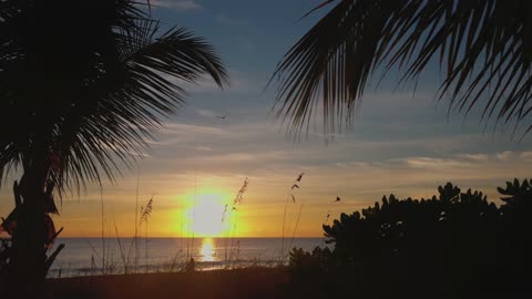 Amazing sunrise in Lauderdale by the sea Florida