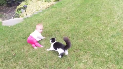 Baby and Cat Fun and Cute - Funny Baby Video | Funniest Animals Americas home video 2021