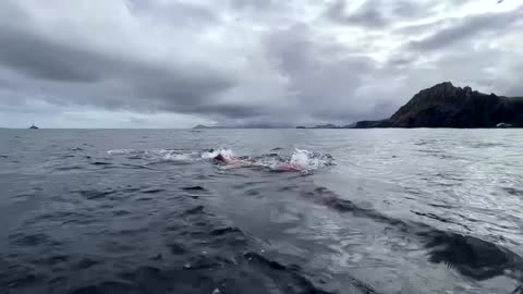 Chilean swimmer breaks Guinness world record