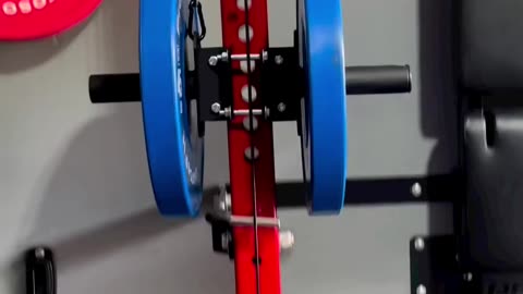 Trolley Cable Pulley System for Power Rack (NO SWINGING)