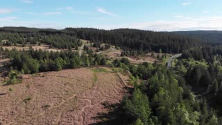 Drone Footage Over Kielder Forest