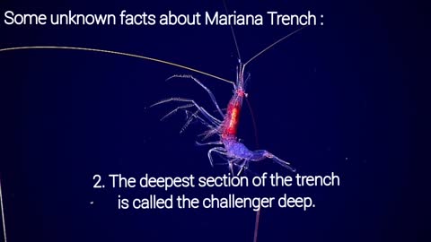 What is Mariana Trench? | Deep sea secrets | Facts about mariana trench | Life in Mariana Trench