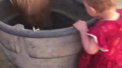Kiddo Gives Good Night Kisses to Her Horses __ cute lovely animal videos
