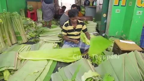 Hand Made Banana leaf Plate Cutting for Healthy Lifestyle