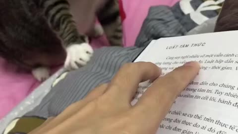 Woman tries to read book, kitty thinks it's play time