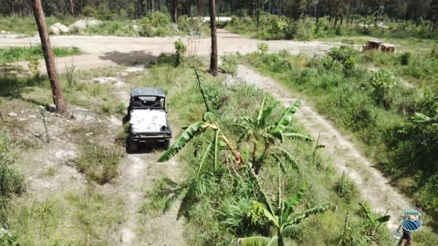 Fertilizing the food Forest