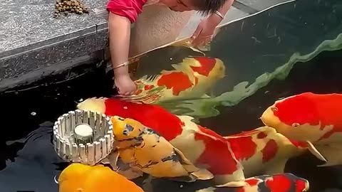 Cute baby playing with fish ...