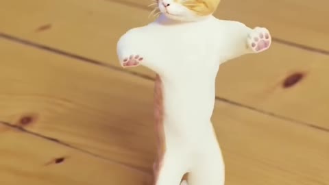 Funny Cat Dance 🤣🤣🤣🤣