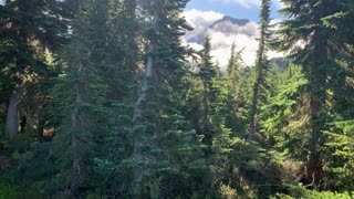 Oregon - Mount Hood - Beautiful Panoramic Views