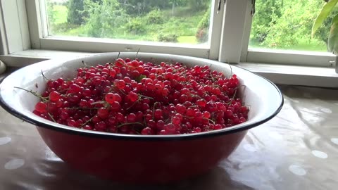 Red Currants