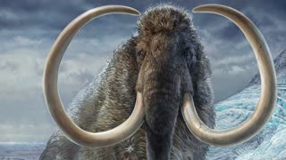 Mammoth tusk holds clues to ice age extinctions