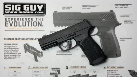 SIG Sauer P365 factory extended magazine release kit