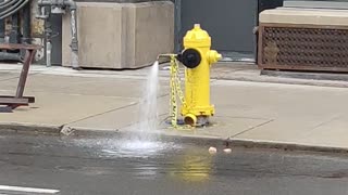 Lonely fire hydrant