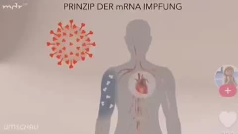Das Prinzip einer mRNA Impfung