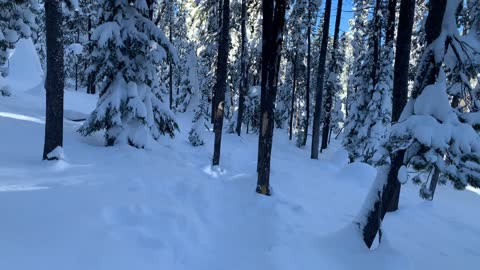 Blanket of Snow – Central Oregon – Swampy Lakes Sno-Park