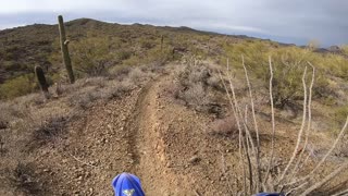 Mile Marker Trails - Last ride of 2020