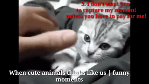Cute animals are thinking like us | so emotional and Funny