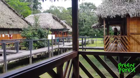 Ecuador's Green Forest Ecolodge in Cuyabeno