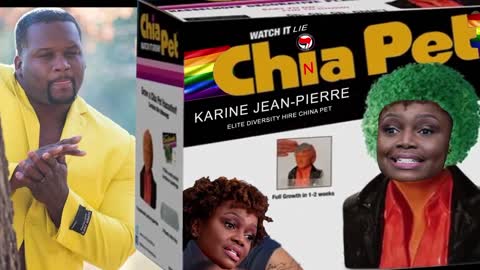 New Karine Jean-Pierre Chia Pet