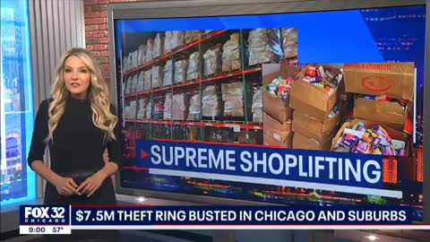 $7.5 million theft ring busted in Chicago and suburbs