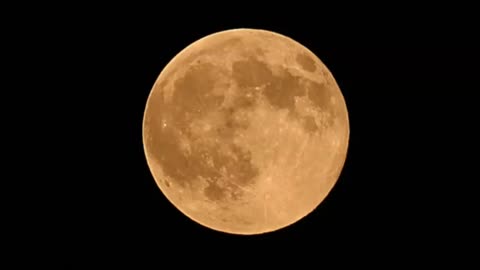 Be Sure To Catch The Magnificent 2023 Super Harvest Moon This Week!