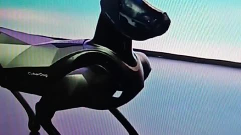 Lousy robot show with Boston Dynamics Dogs in China?